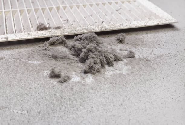 Best HVAC System Cleaning  in Bethel, WA